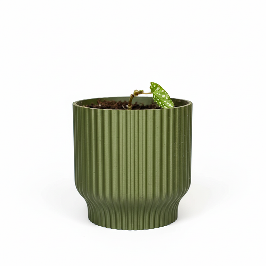 Geometric Plant Pot